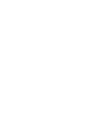 NYU Torch
